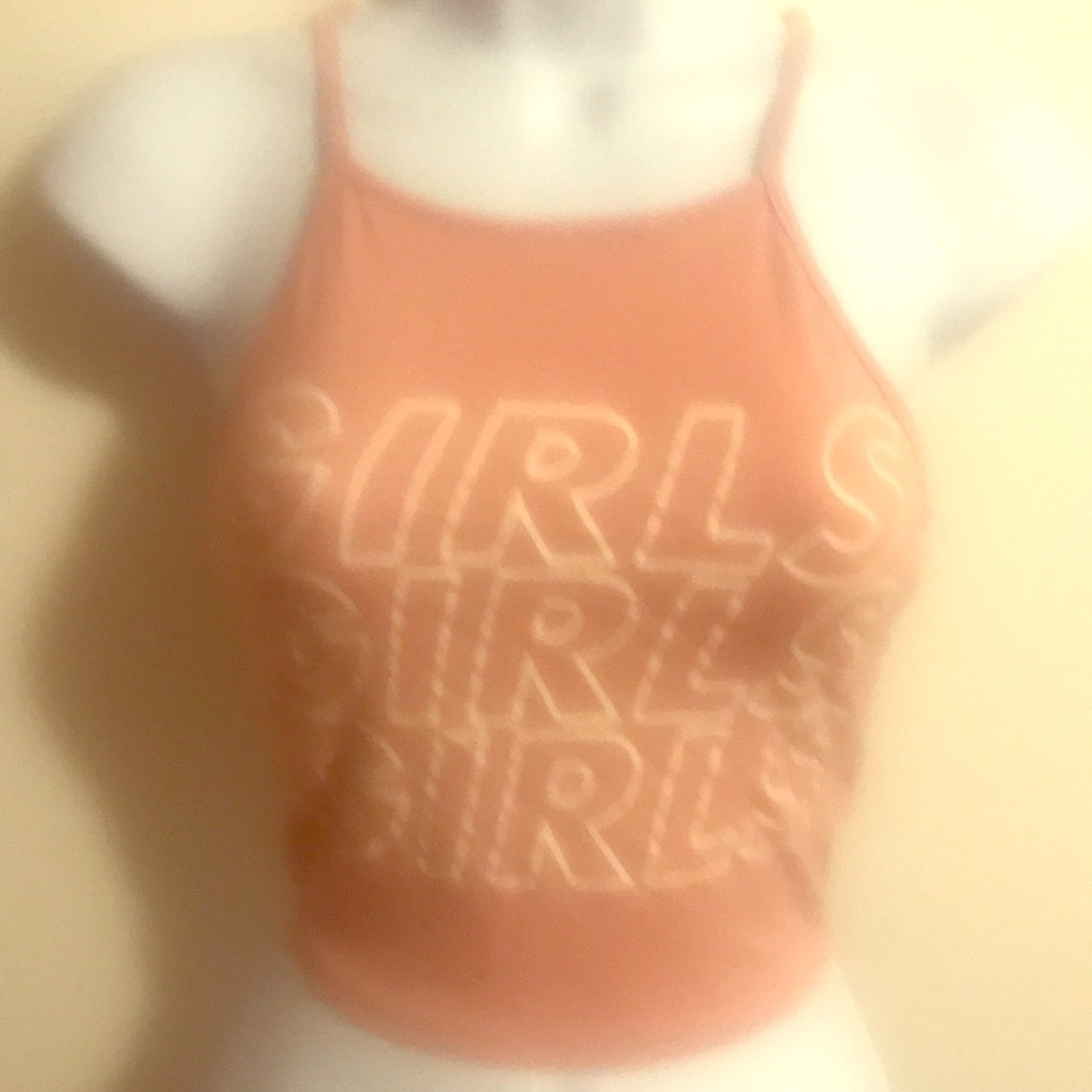 Like New Mauve/ White Crop Top